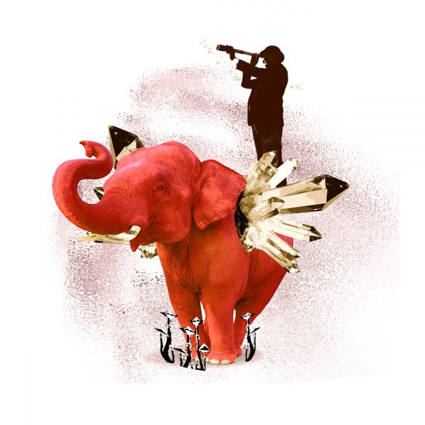 Ta slika ima prazen atribut alt; ime datoteke je NVO_konf25-social-600x600.jpg